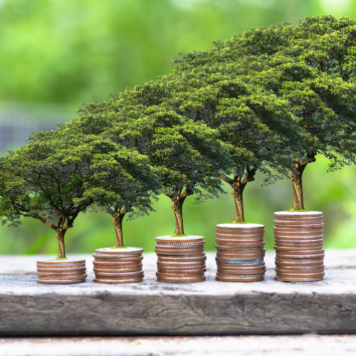 financial solutions, investment income, stratton morgan, bc funding solutions